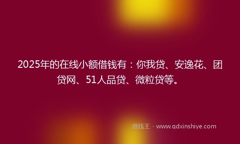 2025年的在线小额借钱有：你我贷、安逸花、团贷网、51人品贷、微粒贷等。
