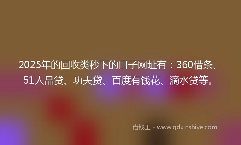 2025年的回收类秒下的口子网址有：360借条、51人品贷、功夫贷、百度有钱花、滴水贷等。