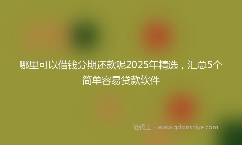 哪里可以借钱分期还款呢2025年精选，汇总5个简单容易贷款软件