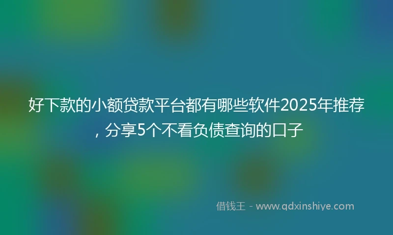 好下款的小额贷款平台都有哪些软件2025年推荐，分享5个不看负债查询的口子