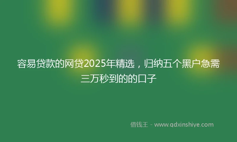 容易贷款的网贷2025年精选，归纳五个黑户急需三万秒到的的口子