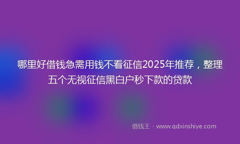 哪里好借钱急需用钱不看征信2025年推荐，整理五个无视征信黑白户秒下款的贷款