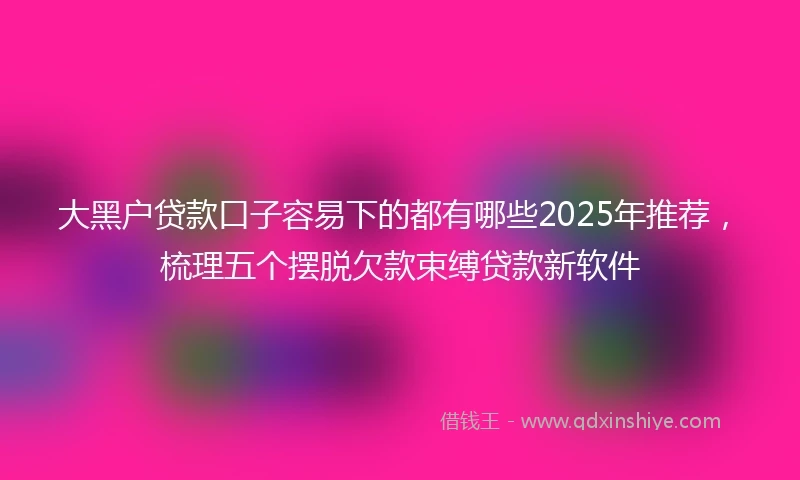 大黑户贷款口子容易下的都有哪些2025年推荐，梳理五个摆脱欠款束缚贷款新软件