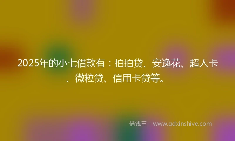 2025年的小七借款有：拍拍贷、安逸花、超人卡、微粒贷、信用卡贷等。