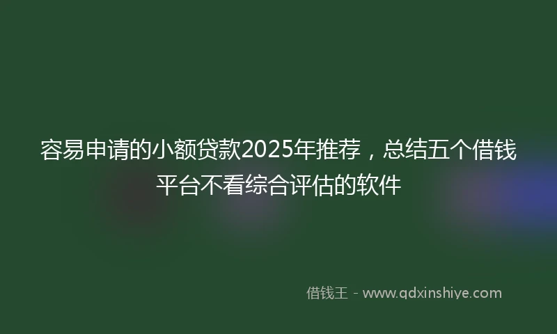 容易申请的小额贷款2025年推荐，总结五个借钱平台不看综合评估的软件