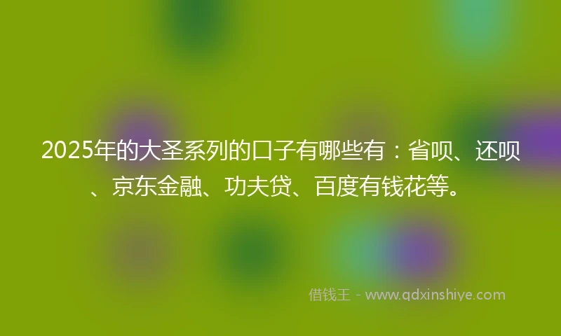 2025年的大圣系列的口子有哪些有：省呗、还呗、京东金融、功夫贷、百度有钱花等。