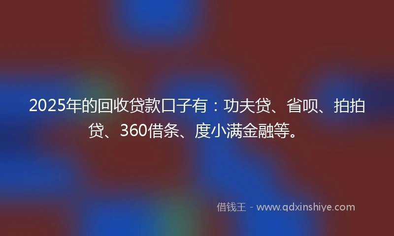 2025年的回收贷款口子有：功夫贷、省呗、拍拍贷、360借条、度小满金融等。