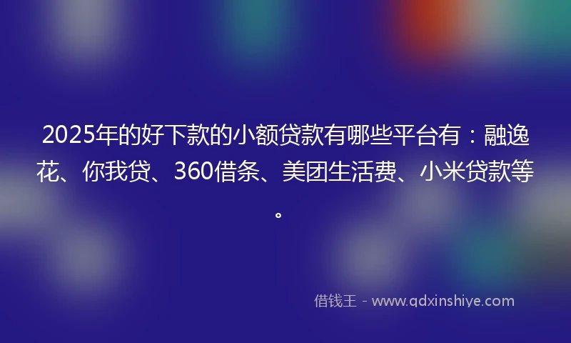 2025年的好下款的小额贷款有哪些平台有：融逸花、你我贷、360借条、美团生活费、小米贷款等。