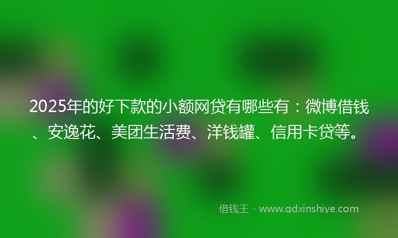 2025年的好下款的小额网贷有哪些有：微博借钱、安逸花、美团生活费、洋钱罐、信用卡贷等。