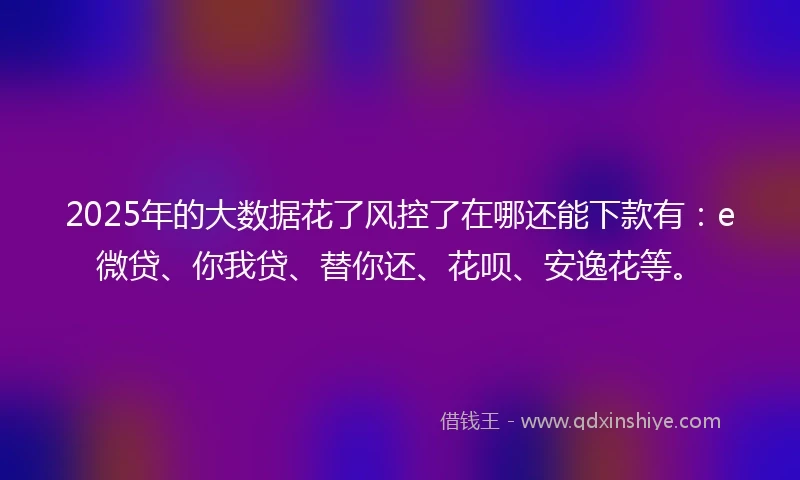 2025年的大数据花了风控了在哪还能下款有：e微贷、你我贷、替你还、花呗、安逸花等。