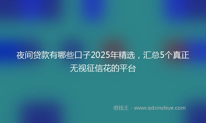 夜间贷款有哪些口子2025年精选，汇总5个真正无视征信花的平台