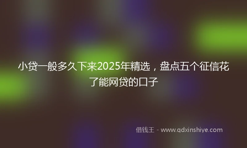 小贷一般多久下来2025年精选，盘点五个征信花了能网贷的口子