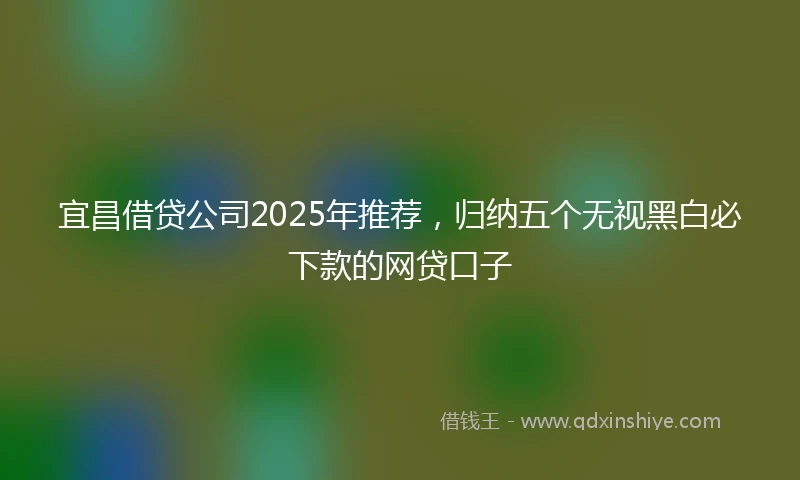 宜昌借贷公司2025年推荐，归纳五个无视黑白必下款的网贷口子