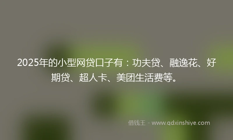 2025年的小型网贷口子有：功夫贷、融逸花、好期贷、超人卡、美团生活费等。
