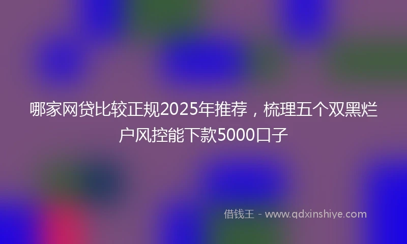 哪家网贷比较正规2025年推荐，梳理五个双黑烂户风控能下款5000口子