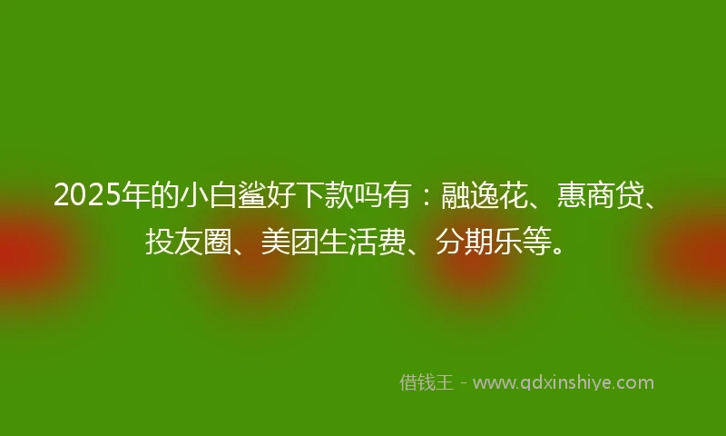 2025年的小白鲨好下款吗有：融逸花、惠商贷、投友圈、美团生活费、分期乐等。