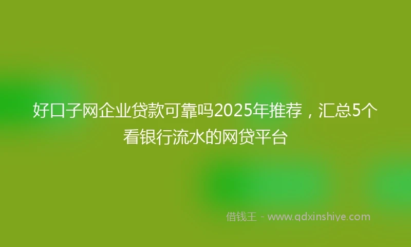 好口子网企业贷款可靠吗2025年推荐，汇总5个看银行流水的网贷平台