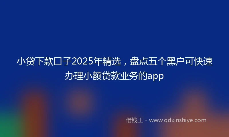 小贷下款口子2025年精选，盘点五个黑户可快速办理小额贷款业务的app