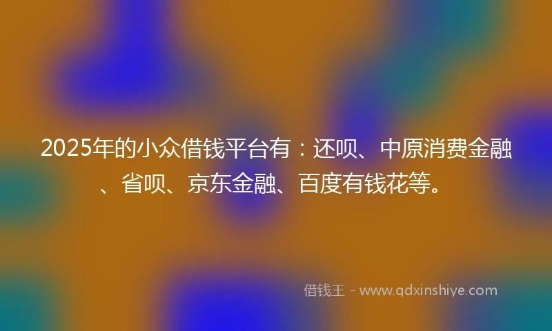 2025年的小众借钱平台有：还呗、中原消费金融、省呗、京东金融、百度有钱花等。