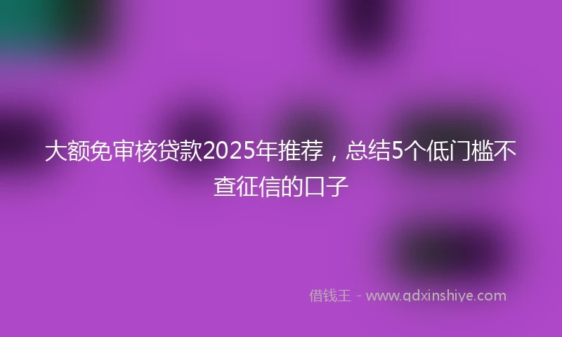 大额免审核贷款2025年推荐，总结5个低门槛不查征信的口子