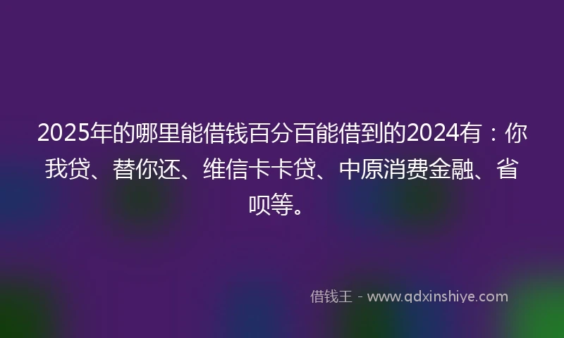 2025年的哪里能借钱百分百能借到的2024有：你我贷、替你还、维信卡卡贷、中原消费金融、省呗等。