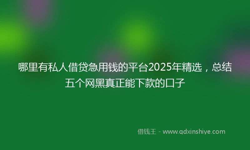 哪里有私人借贷急用钱的平台2025年精选，总结五个网黑真正能下款的口子