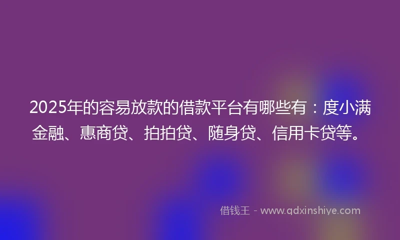 2025年的容易放款的借款平台有哪些有：度小满金融、惠商贷、拍拍贷、随身贷、信用卡贷等。