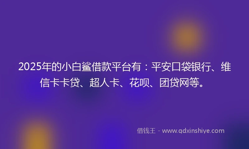 2025年的小白鲨借款平台有：平安口袋银行、维信卡卡贷、超人卡、花呗、团贷网等。
