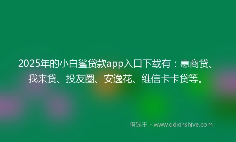 2025年的小白鲨贷款app入口下载有：惠商贷、我来贷、投友圈、安逸花、维信卡卡贷等。