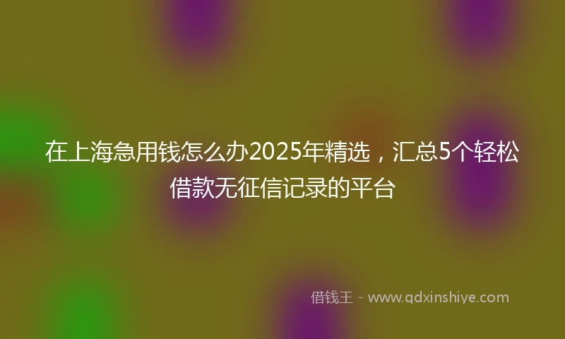在上海急用钱怎么办2025年精选，汇总5个轻松借款无征信记录的平台
