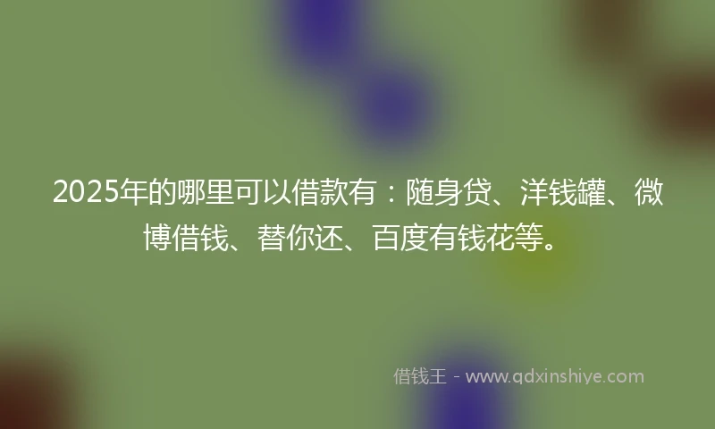 2025年的哪里可以借款有：随身贷、洋钱罐、微博借钱、替你还、百度有钱花等。
