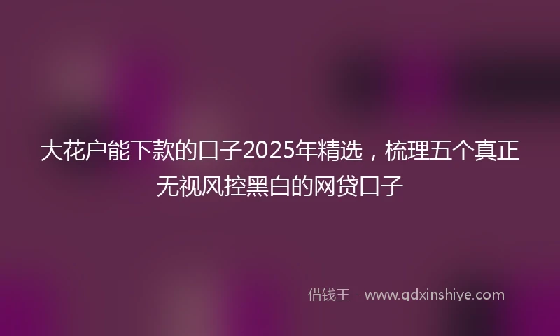 大花户能下款的口子2025年精选，梳理五个真正无视风控黑白的网贷口子