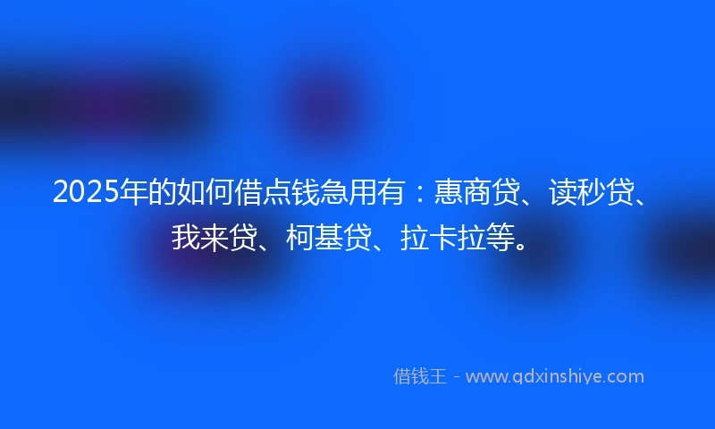 2025年的如何借点钱急用有:惠商贷、读秒贷、我来贷、柯基贷、拉卡拉等。