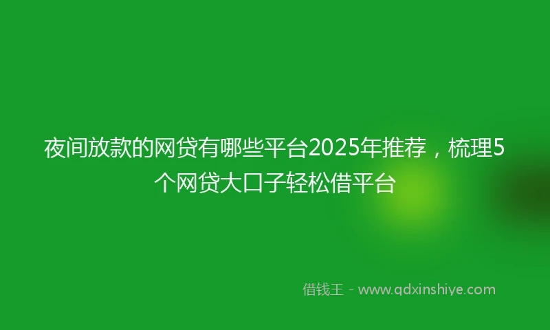 夜间放款的网贷有哪些平台2025年推荐，梳理5个网贷大口子轻松借平台
