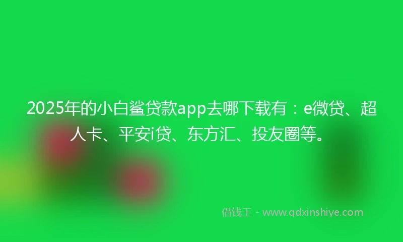 2025年的小白鲨贷款app去哪下载有：e微贷、超人卡、平安i贷、东方汇、投友圈等。