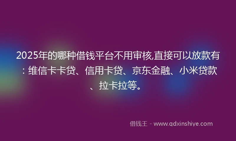 2025年的哪种借钱平台不用审核,直接可以放款有：维信卡卡贷、信用卡贷、京东金融、小米贷款、拉卡拉等。