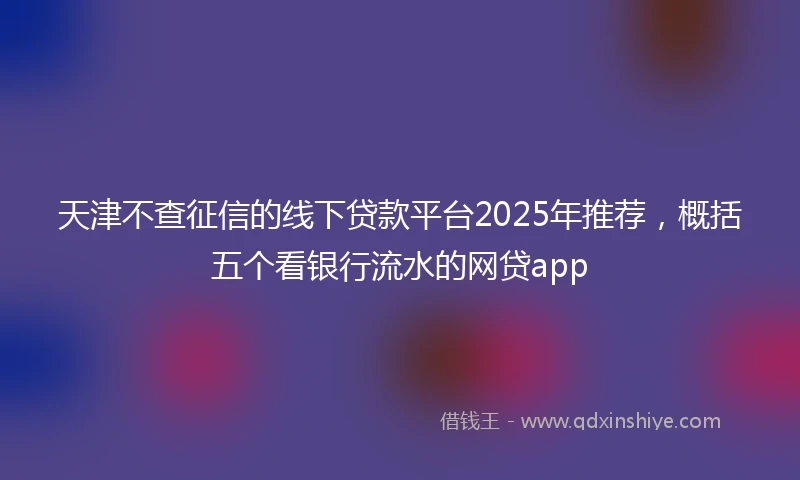 天津不查征信的线下贷款平台2025年推荐，概括五个看银行流水的网贷app