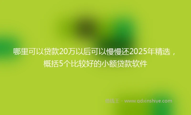 哪里可以贷款20万以后可以慢慢还2025年精选，概括5个比较好的小额贷款软件