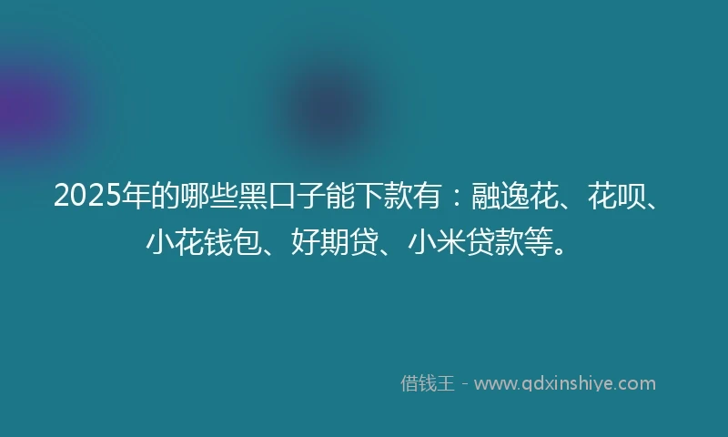 2025年的哪些黑口子能下款有：融逸花、花呗、小花钱包、好期贷、小米贷款等。