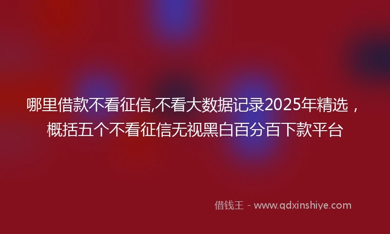 哪里借款不看征信,不看大数据记录2025年精选，概括五个不看征信无视黑白百分百下款平台