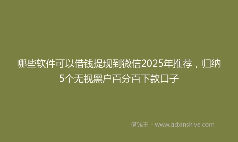 哪些软件可以借钱提现到微信2025年推荐，归纳5个无视黑户百分百下款口子