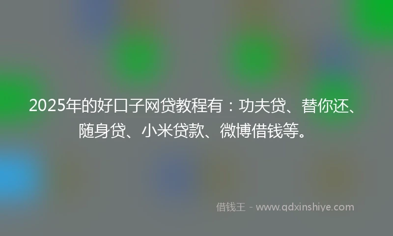 2025年的好口子网贷教程有：功夫贷、替你还、随身贷、小米贷款、微博借钱等。