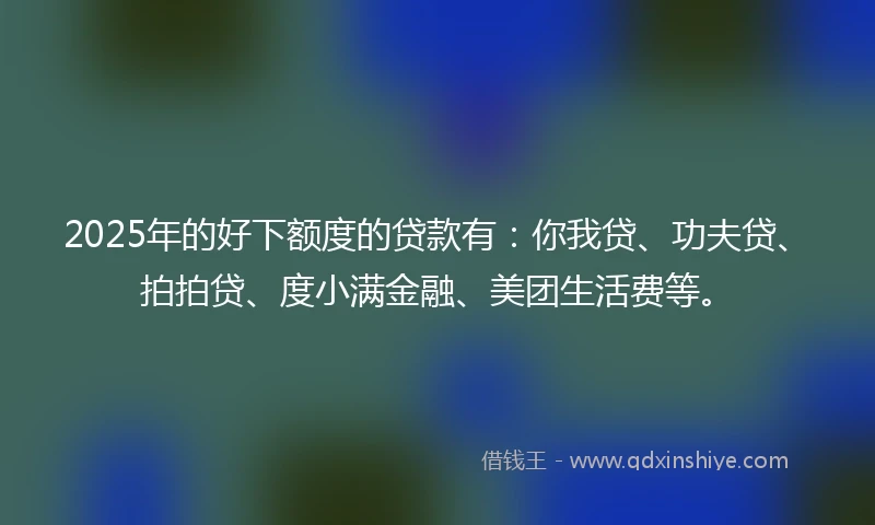 2025年的好下额度的贷款有：你我贷、功夫贷、拍拍贷、度小满金融、美团生活费等。
