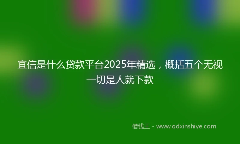 宜信是什么贷款平台2025年精选，概括五个无视一切是人就下款