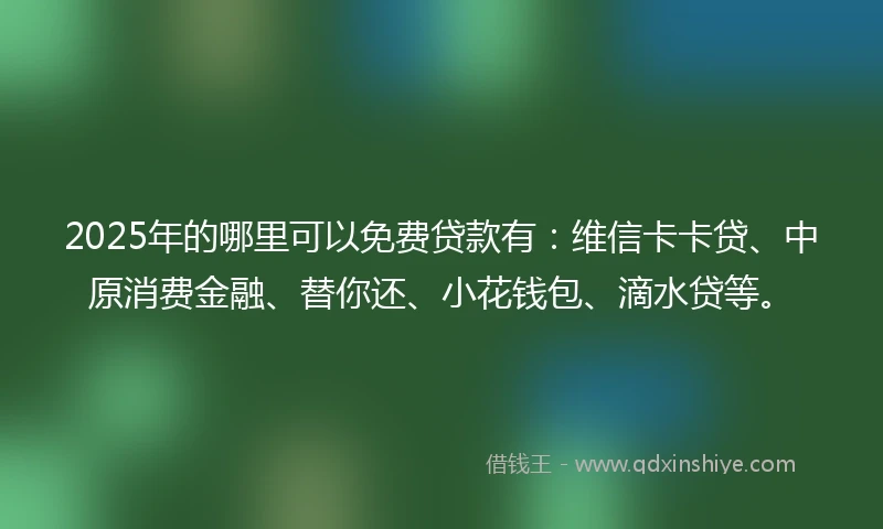 2025年的哪里可以免费贷款有：维信卡卡贷、中原消费金融、替你还、小花钱包、滴水贷等。