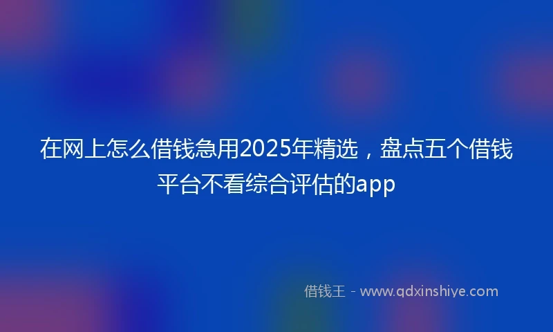 在网上怎么借钱急用2025年精选，盘点五个借钱平台不看综合评估的app