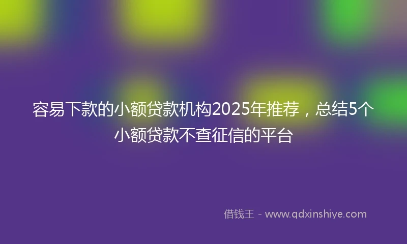 容易下款的小额贷款机构2025年推荐，总结5个小额贷款不查征信的平台