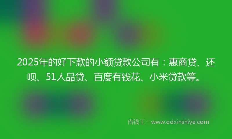 2025年的好下款的小额贷款公司有：惠商贷、还呗、51人品贷、百度有钱花、小米贷款等。