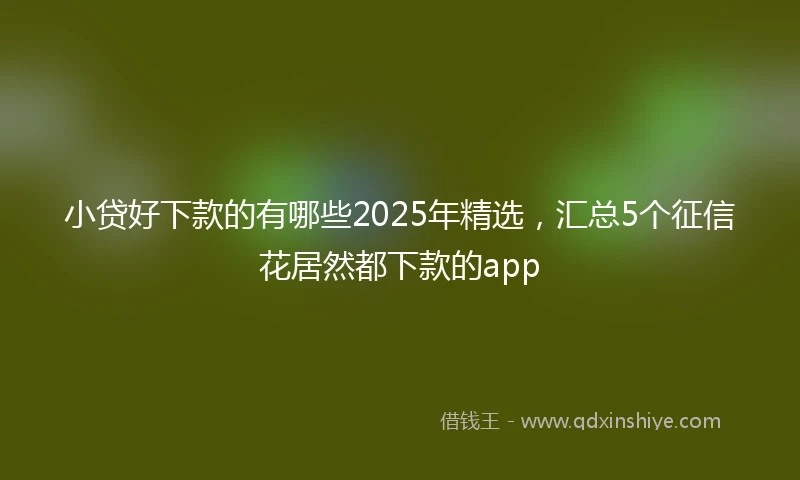 小贷好下款的有哪些2025年精选，汇总5个征信花居然都下款的app