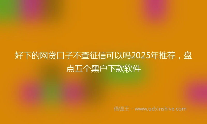好下的网贷口子不查征信可以吗2025年推荐，盘点五个黑户下款软件